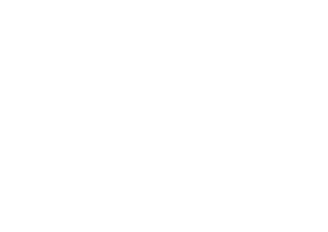 apartahotel lenenberger logo b copia